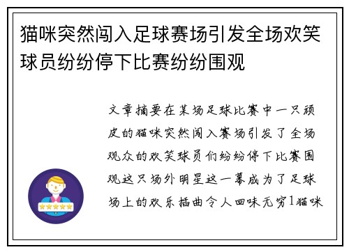 猫咪突然闯入足球赛场引发全场欢笑球员纷纷停下比赛纷纷围观