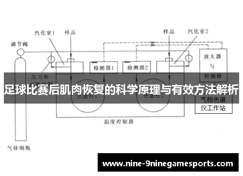 足球比赛后肌肉恢复的科学原理与有效方法解析